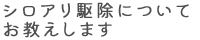 シロアリ駆除についてお教えします